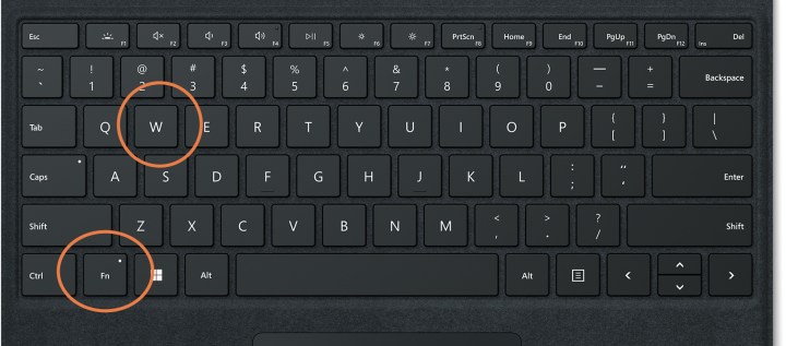 A keyboard with the Fn and W keys circled.