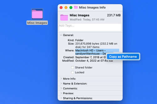 Copy as Pathname in Get Info.