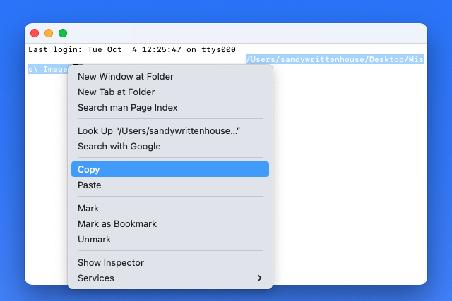 Copy in the Terminal shortcut menu.
