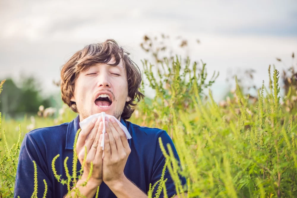 Pollen