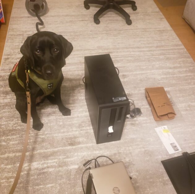 Trinity, electronics-sniffing dog.