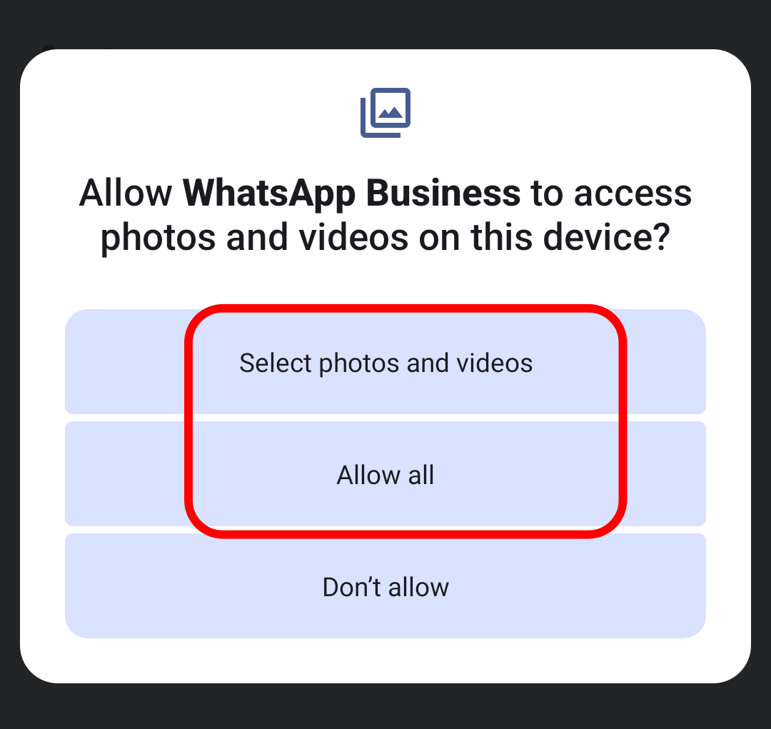 Allow Photos and Videos access to WhatsApp Business.