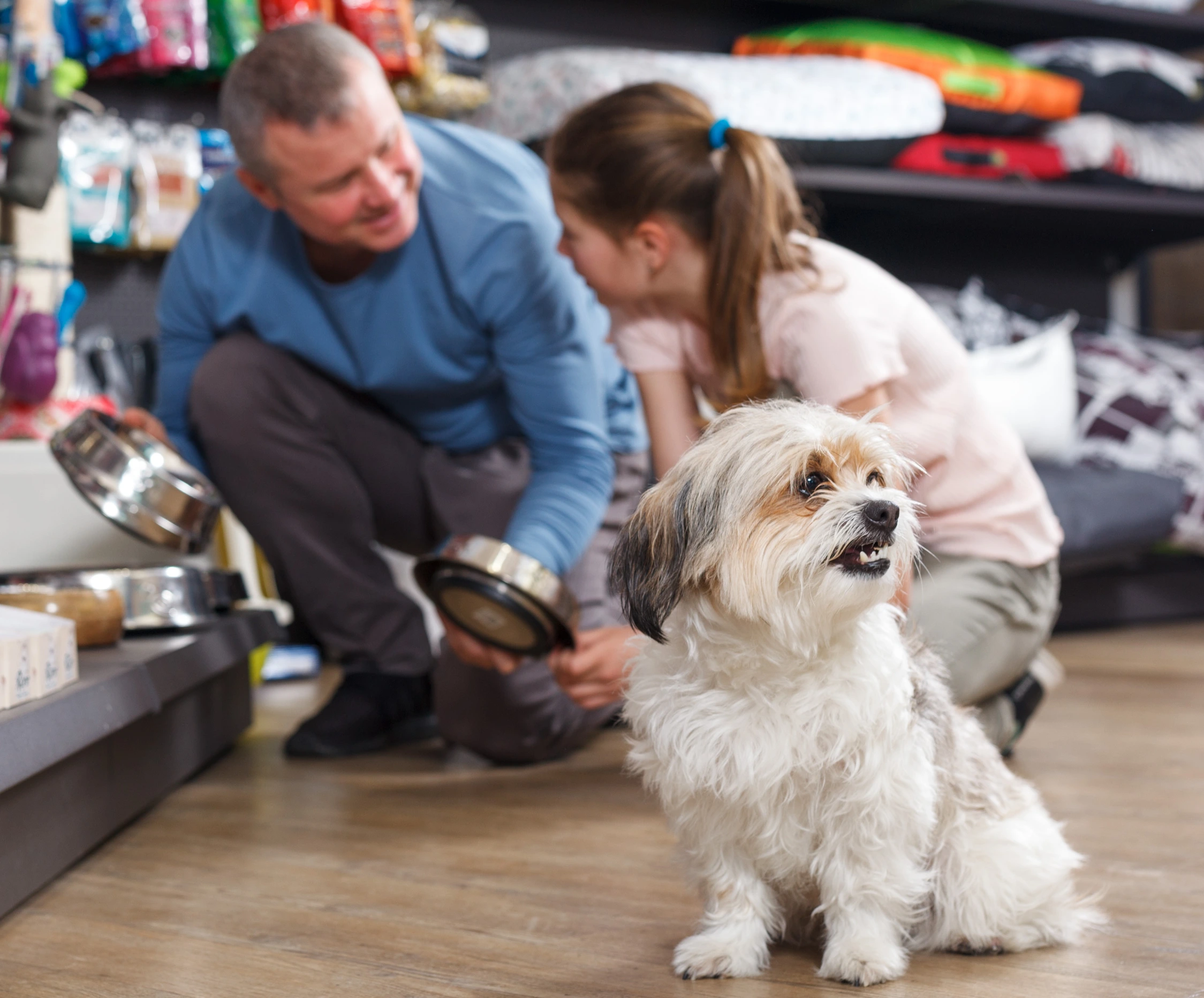 pet store