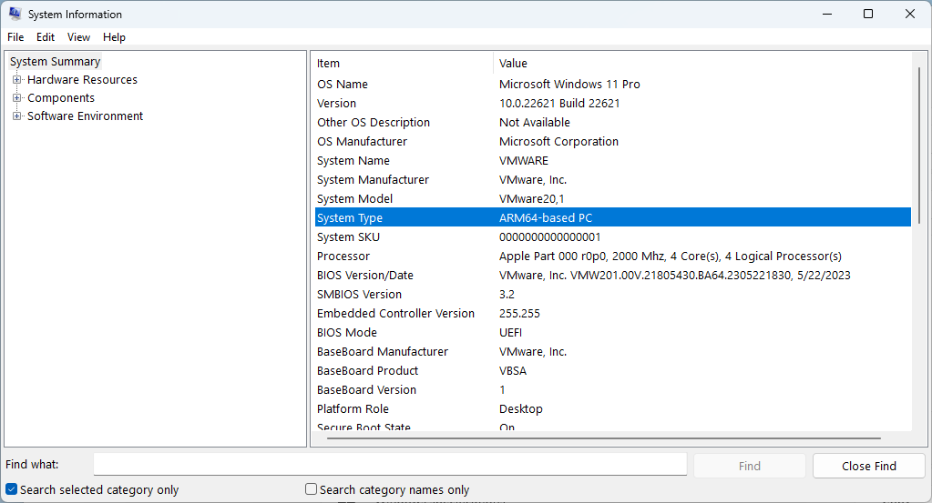 A screenshot of the System Information window on a Windows 11 PC.