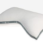 the Eli and Elm pillow