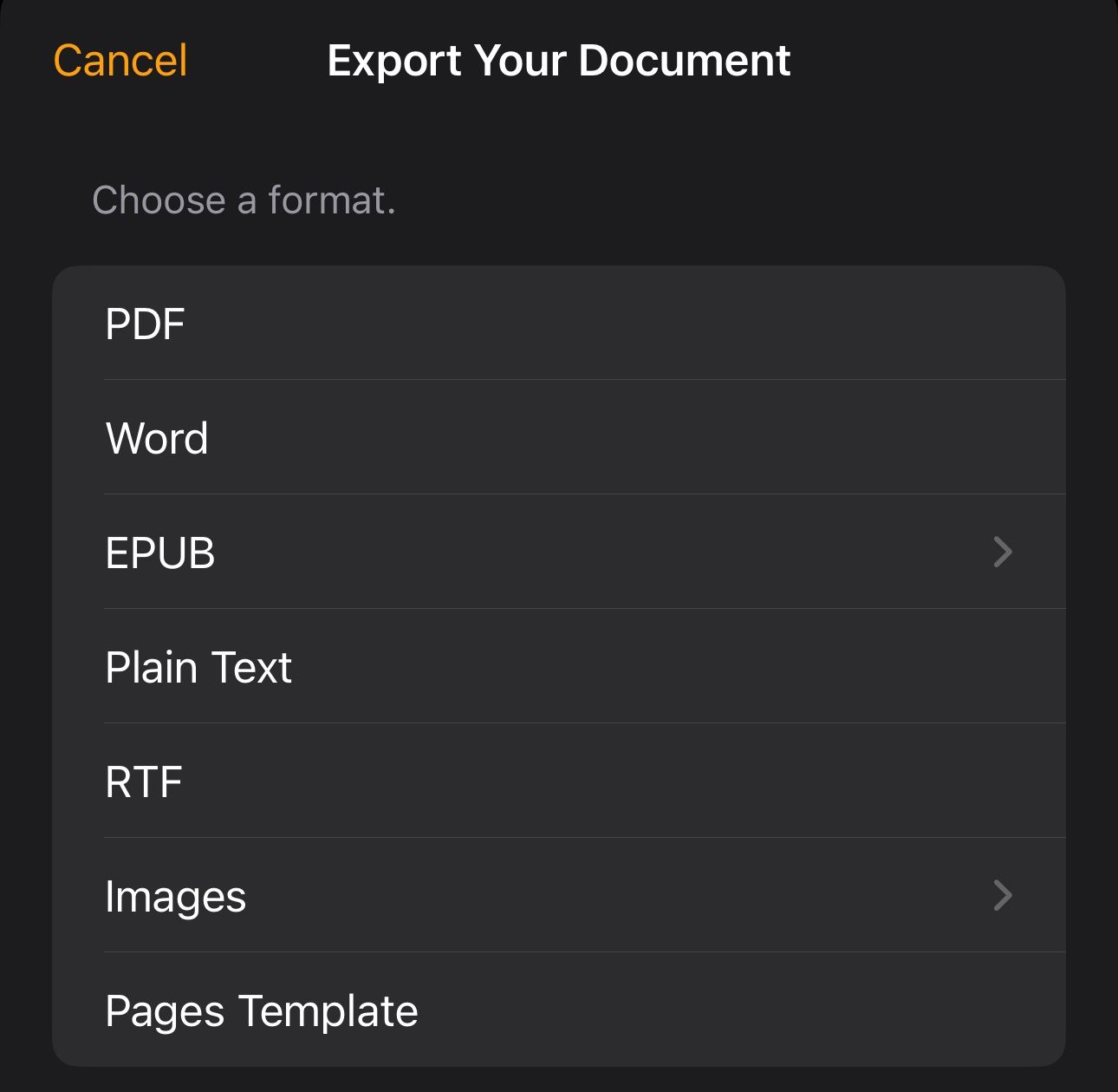 Choosing an output format to export an Apple Note on an iPhone.