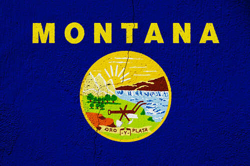 Flag of Montana USA state on a textured background. Concept collage.