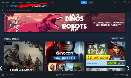 The Steam Store page. 