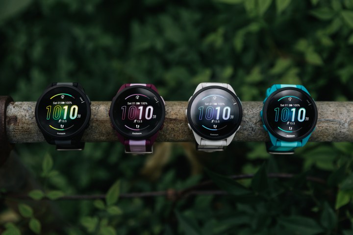 Four Garmin Forerunner 165 watches on a branch.