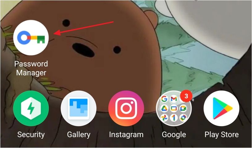 Google Password Manager on the Android Home screen.