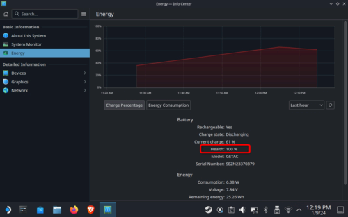 SteamOS energy information menu showing battery health info as well as other battery-related data.