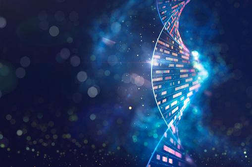 Human genomic DNA molecular structure