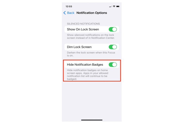 iOS 16 Hide Badges option.