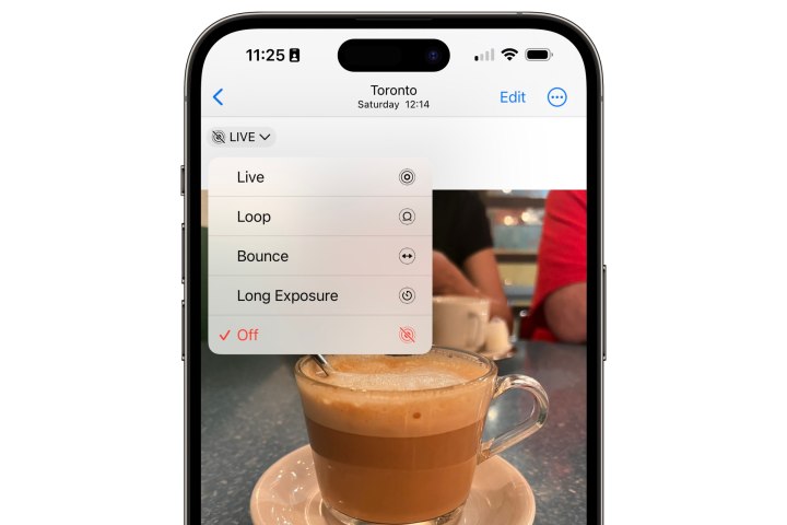 iPhone showing Photos app with options to set Live Photo effects.