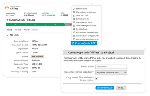 Example Insightly project conversion page.