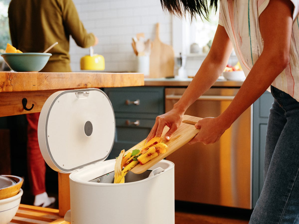 food being dumped into mill bin