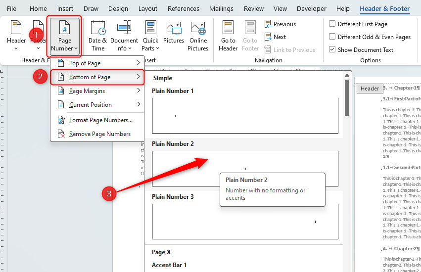 Word document with the page numbering options open.