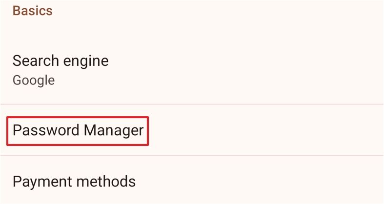 Password Manager option in the Settings window.