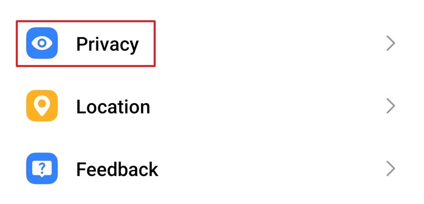 Privacy option in the Settings app.