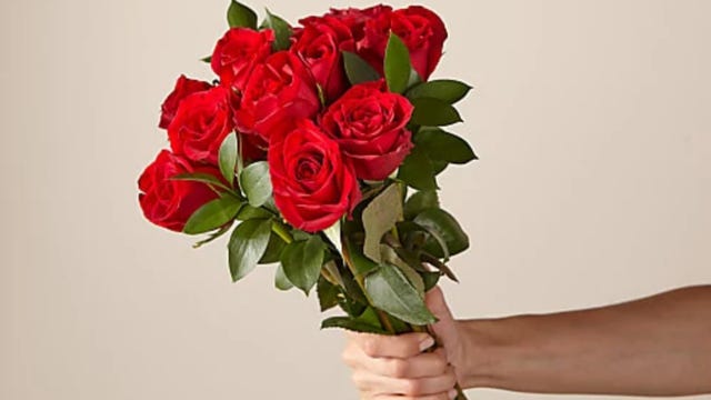 proflowers-12redroses.png