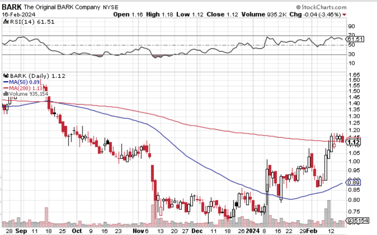 BARK Recent Technical Stock Performance