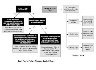 Catastrophic Risk: Investing And Business Implications