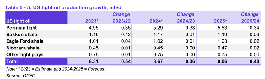 OPEC Update, February 2024