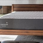 Cocoon by Sealy mattress