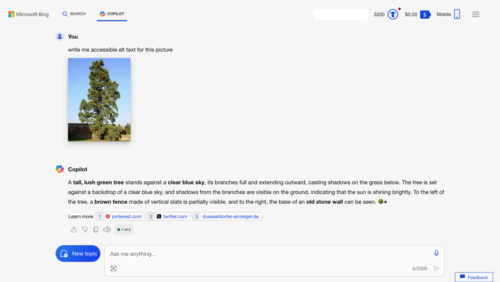 A screenshot in which Bing Copilot returns three descriptive sentences about a picture of a tree