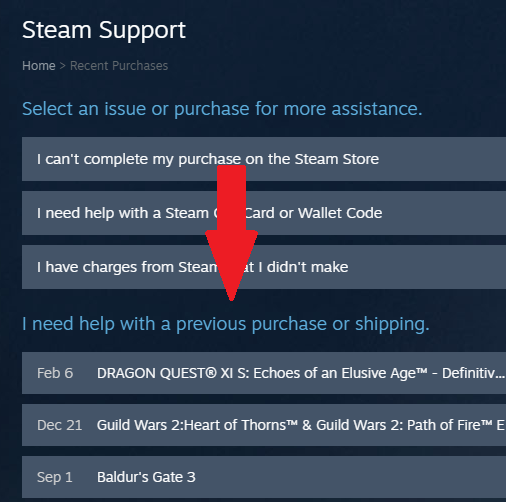 The Steam Support section detailing recent purchases you have made.