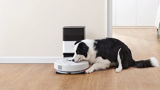 a sheep dog lovingly cuddles a white robot vacuum