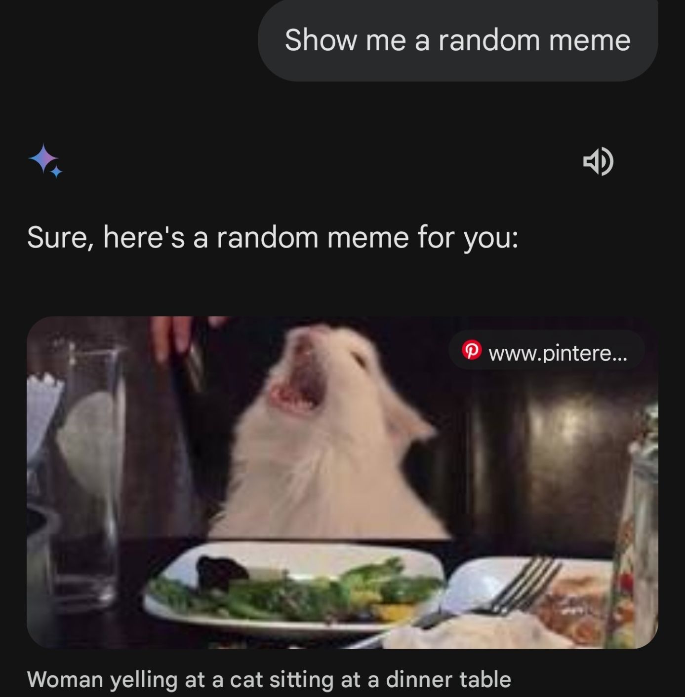 Google Gemini showing a random meme on prompting