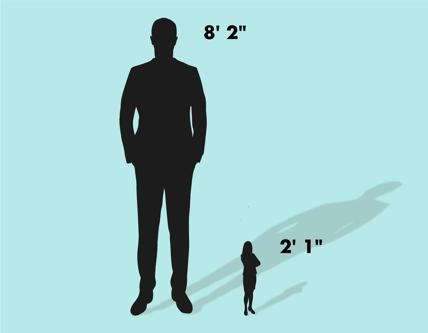 World's tallest man towers over shortest woman in California reunion