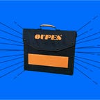 The Oupes 100 watt solar panel.