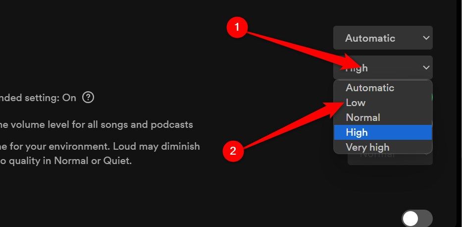 Spotify audio settings on the dektop app