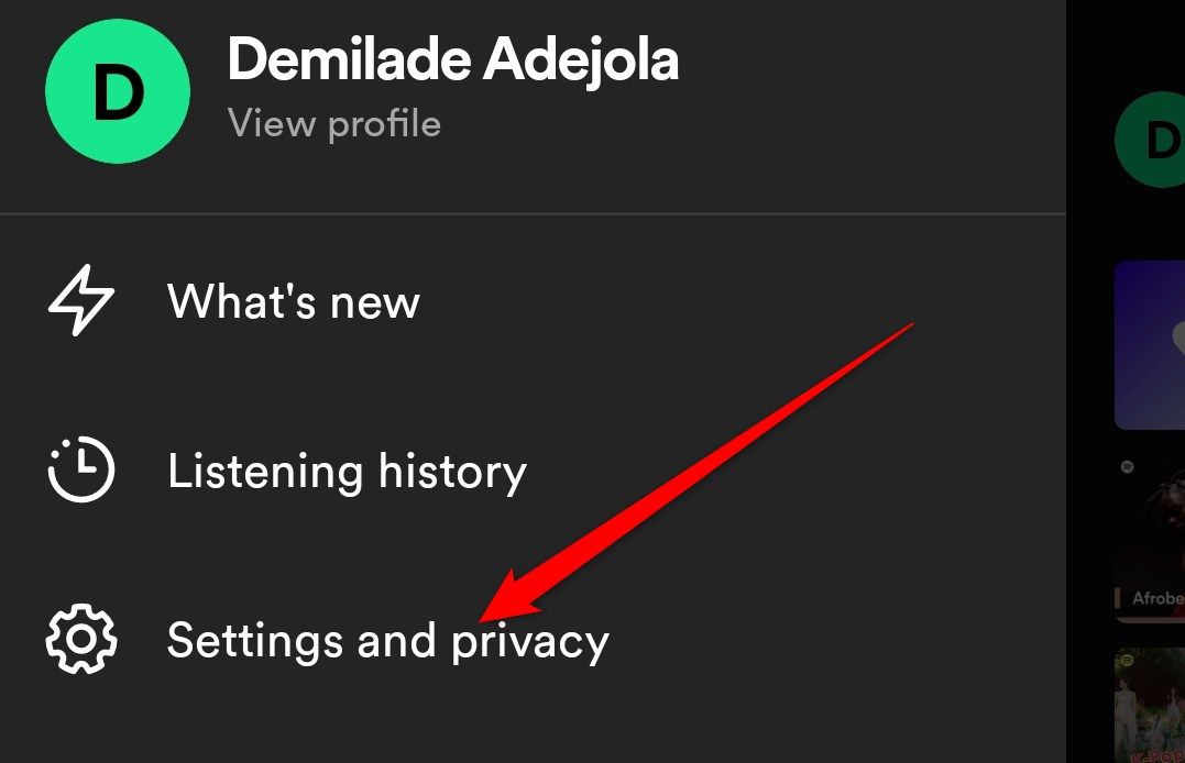 The Spotify Mobile App profile settings