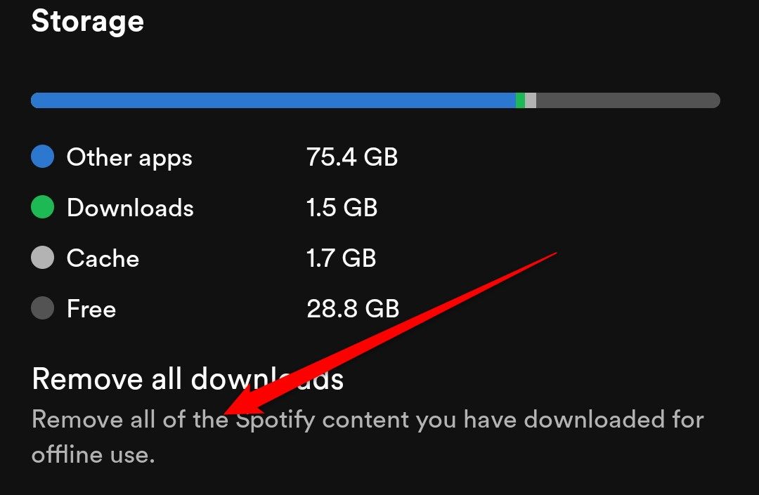 The Spotify settings page showing storage information