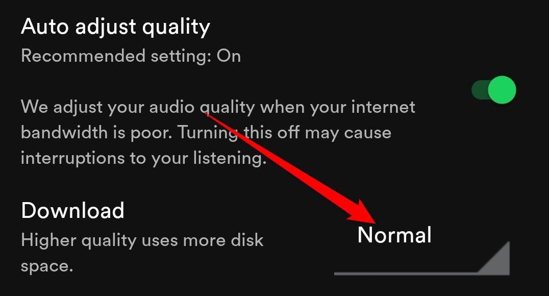 Spotify audio settings on the mobile app