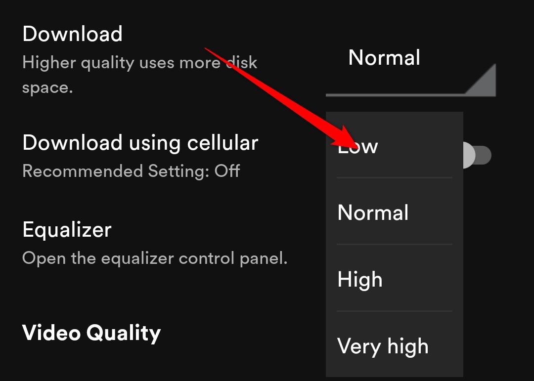 Spotify audio settings on the mobile app