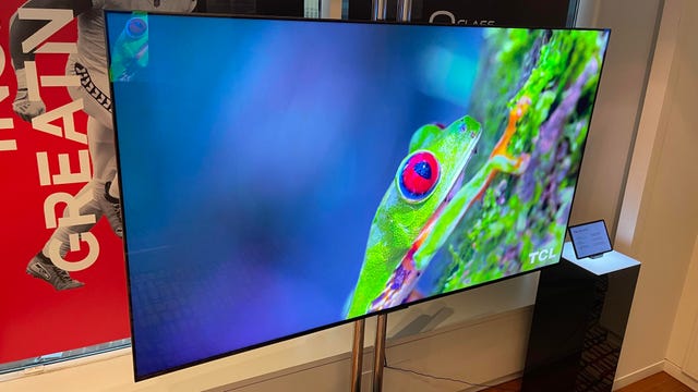 The TCL QM851 2024 TV with a frog on the screen.