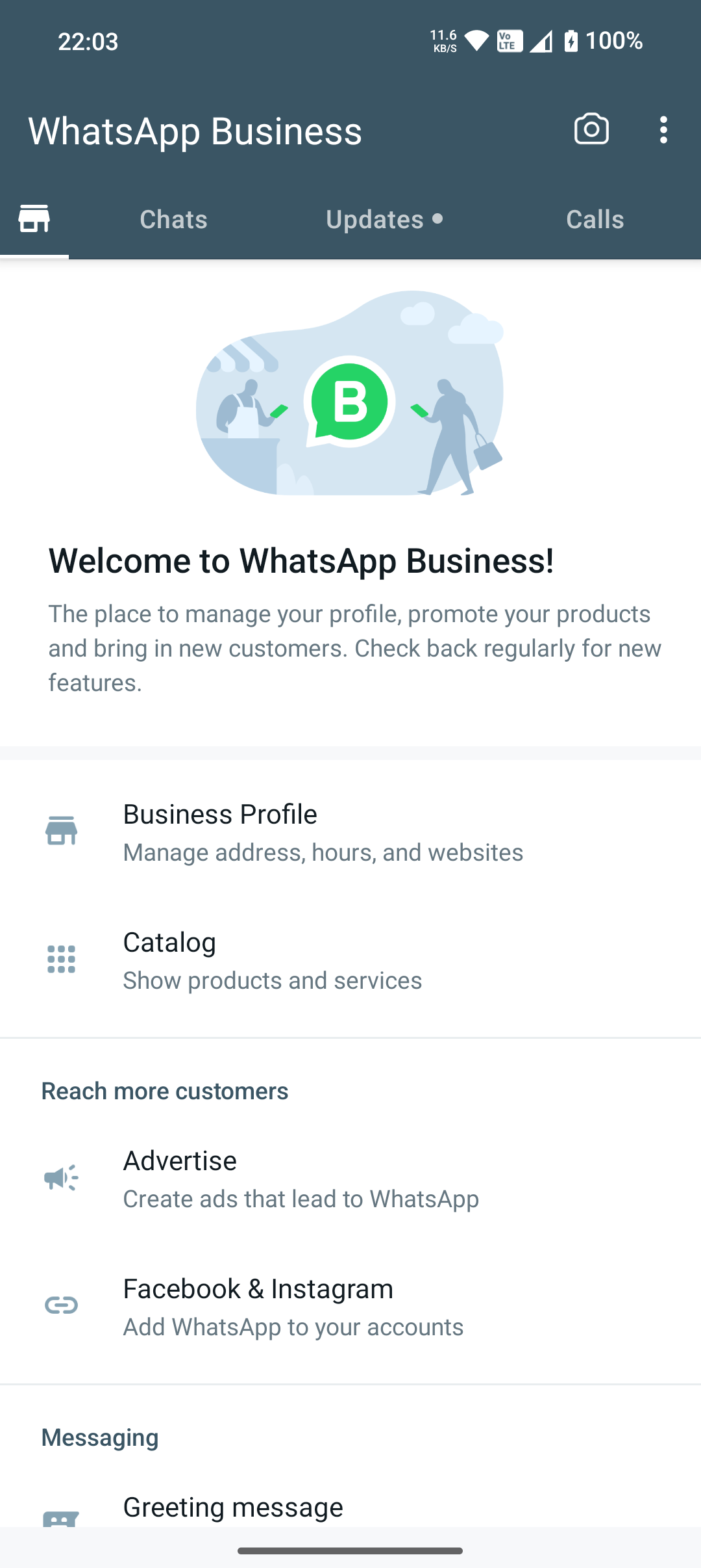 WhatsApp Business UI.