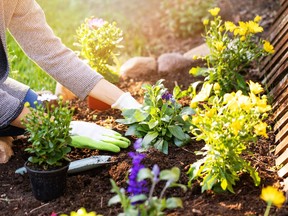 Alleviate soil flimsiness by adding a hefty-textured bagged soil to a basic mix.