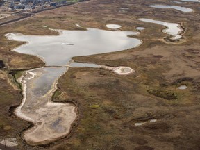 Northeast Swale