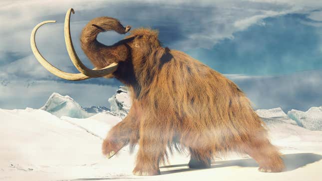 An artist's impression of a woolly mammoth.