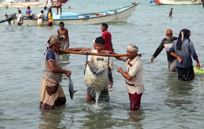 Men stand in the sea carrying fish in a basket