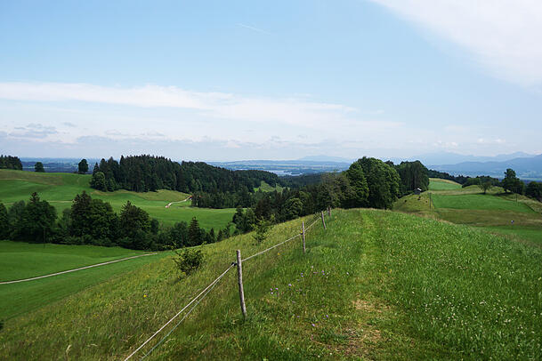 Auf der Tour in Richtung Bad Kohlgrub spaziert man über einen schönen Höhenzug.