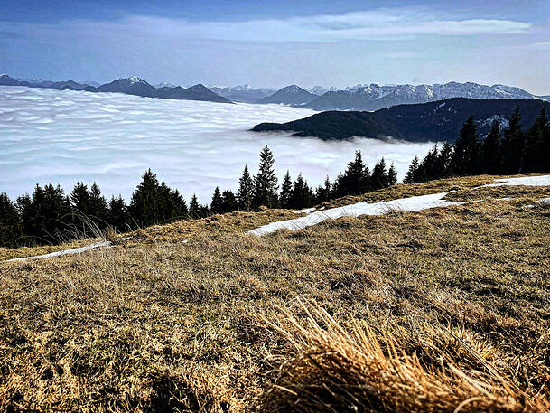 Unten schlechtes Wetter, oben Sonne überm Nebelmeer: Da kommt beim Wanderer am Hörnle Euphorie auf.