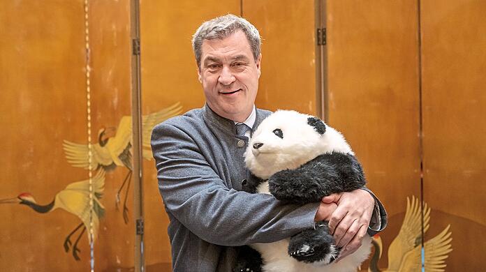 Markus Söder hält einen Pandabären aus Plüsch in den Armen, den er zuvor vom Parteisekretär der Kommunistischen Partei als Gastgeschenk überreicht bekommen hat. Söder bereist bis zum 28. März die Volksrepublik China.