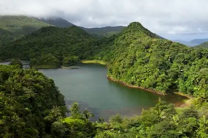 Blick auf einen See inmitten von Bergen die mit Regenwald bewachsen sind.