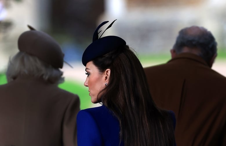 A profile photo of a woman in  a bright blue suit, with long brown hair. In the background, the heads of two people with greyish hair.